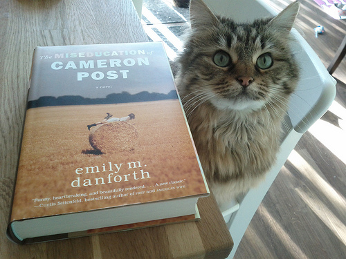 misseducation of cameron post cat